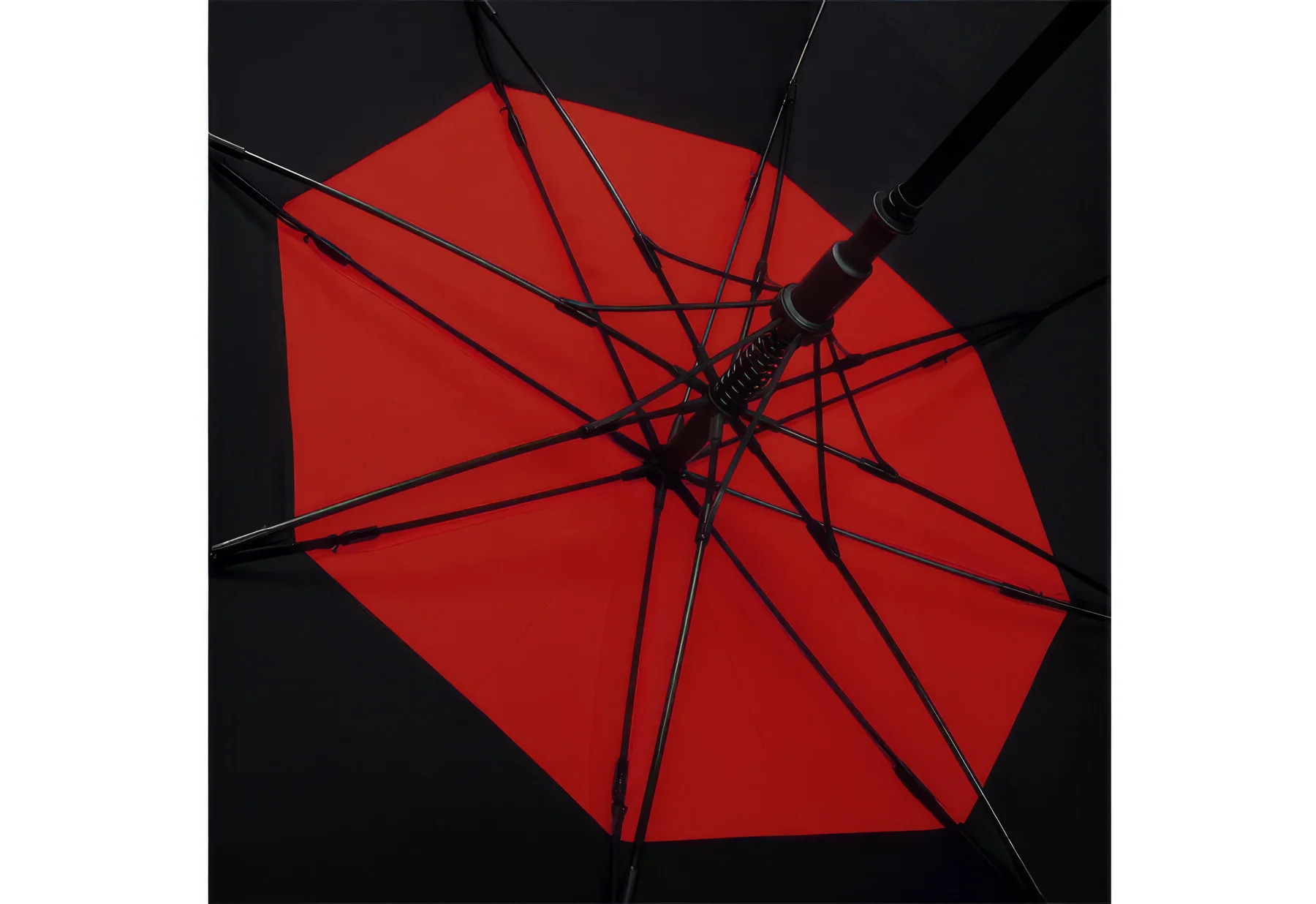 THE DAVEK GOLF - For the sports enthusiast - Image 15